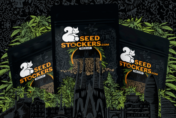 SEMILLAS C. AUTO SEEDSTOCKERS X1 PACK DE SEMILLAS