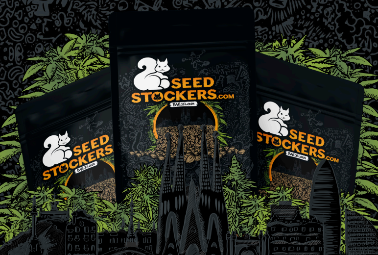 SEMILLAS C. AUTO SEEDSTOCKERS X1 PACK DE SEMILLAS